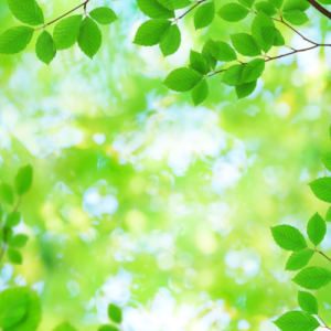 南京高考补习班