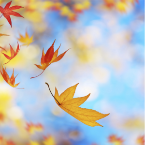 南京六年级数学辅导