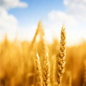 南京江宁初中辅导班