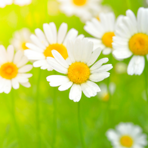 南京二年级数学辅导