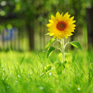 南京一年级数学辅导