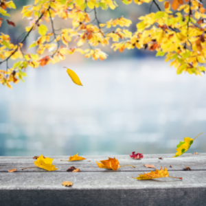 南京高三语文一对一辅导