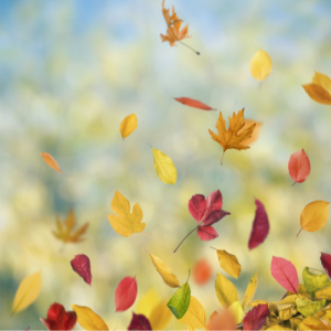 南京高二化学一对一辅导