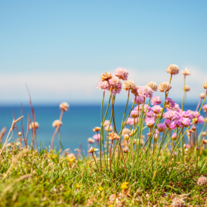 南京高一化学一对一辅导