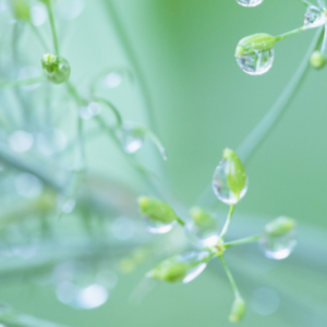 南京高三化学辅导