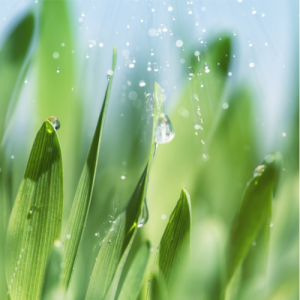 南京初三化学辅导机构