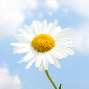 南京初三物理辅导机构