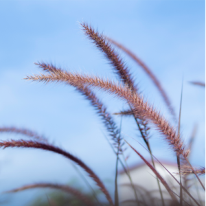 南京初二物理辅导机构