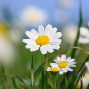 南京山西路初三数学一对一辅导