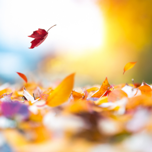 南京山西路初三语文一对一辅导