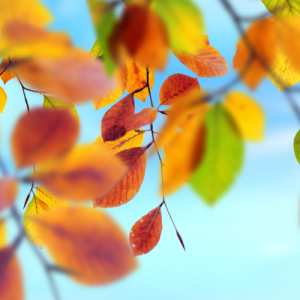 南京山西路初二数学一对一辅导