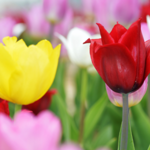 南京山西路初二语文一对一辅导