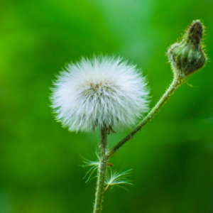 南京龙江高一英语一对一辅导