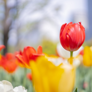 南京龙江高一数学一对一辅导