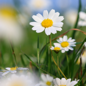 南京高三一对一辅导费用是多少？