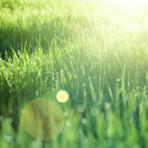 南京高中培训机构哪家好？