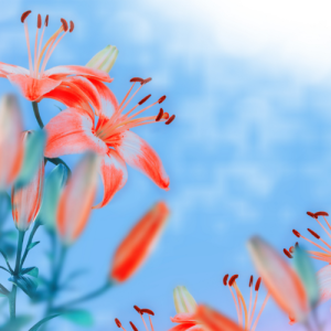 南京高中一对一辅导哪家好？