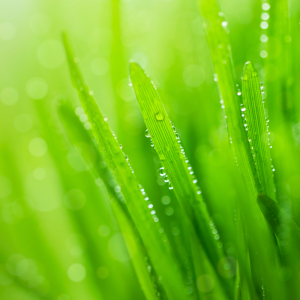 南京高考辅导机构