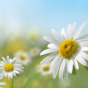 南京初三补习机构