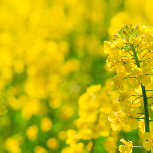 南京初中语文培训班