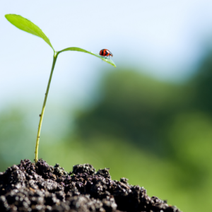 南京初中辅导机构有哪些？