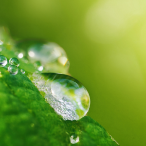 南京小学辅导机构哪家好？