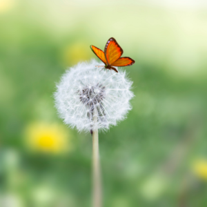 南京中考一对一辅导