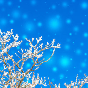 南京四年级语文辅导