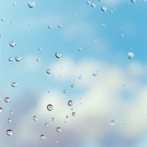 南京初三语文一对一辅导