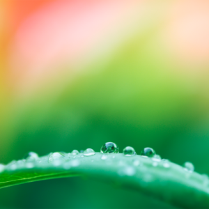 南京高二数学一对一辅导