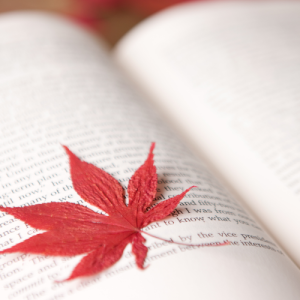 南京高一数学一对一辅导